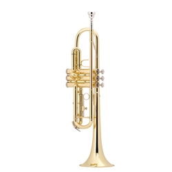 Trumpet Bach TR300H2 / Academy