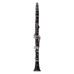 Clarinet Buffet BC2501N-5-0 E11 / Academy