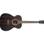 Guitar Deep Forest Acoustic-Electric / Academy