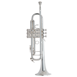 Trumpet Bach Stradivarious 180S43 / Professional