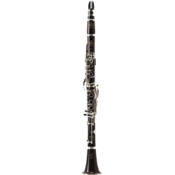 Clarinet Buffet Limité E13 / Professional