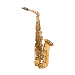 Selmer Paris 82SIG Alto Saxophonoe