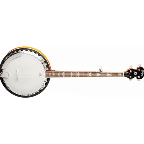 Washburn b10 deals banjo