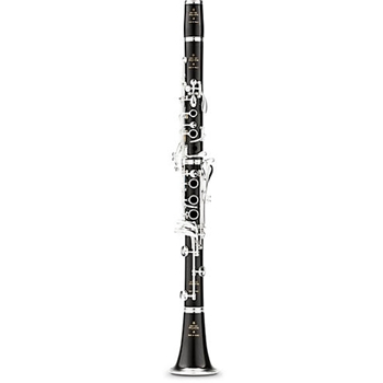 Buffet R13 Professional Clarinet