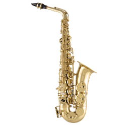 Alto Sax SAS711 Selmer / Professional